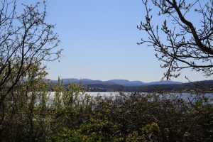 View of the river Derwent